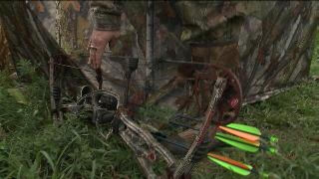 Chip hits the woods, learns about bow hunting
