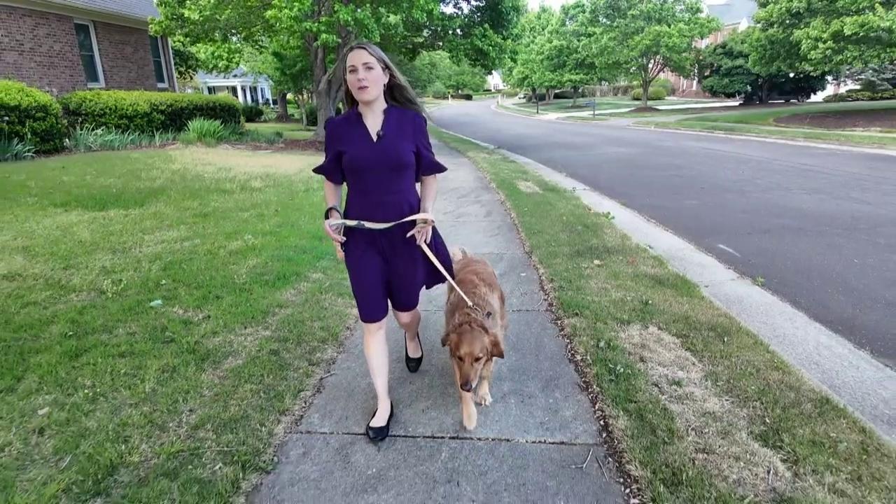 After tragic death, state asks pet owners to vet boarding kennels