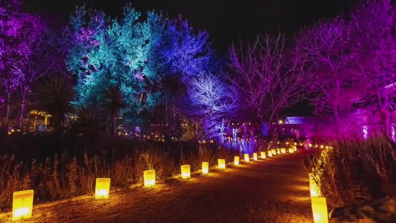 New art, nature exhibits at Lady Bird Johnson Wildflower Center