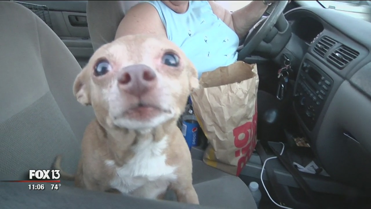 Evacuees take shelter from Polk Co. fires