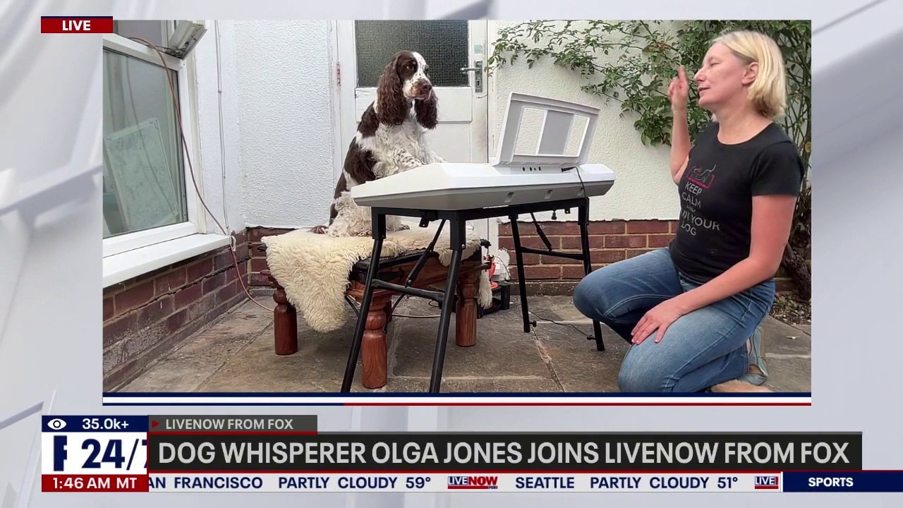 Dog whispers shows off amazing dog tricks