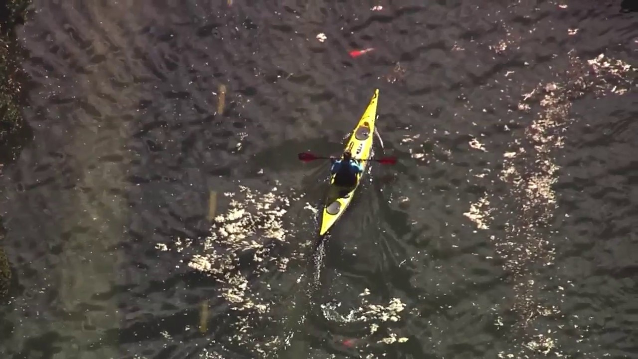 Kayaker glides through Mill Valley floodwaters