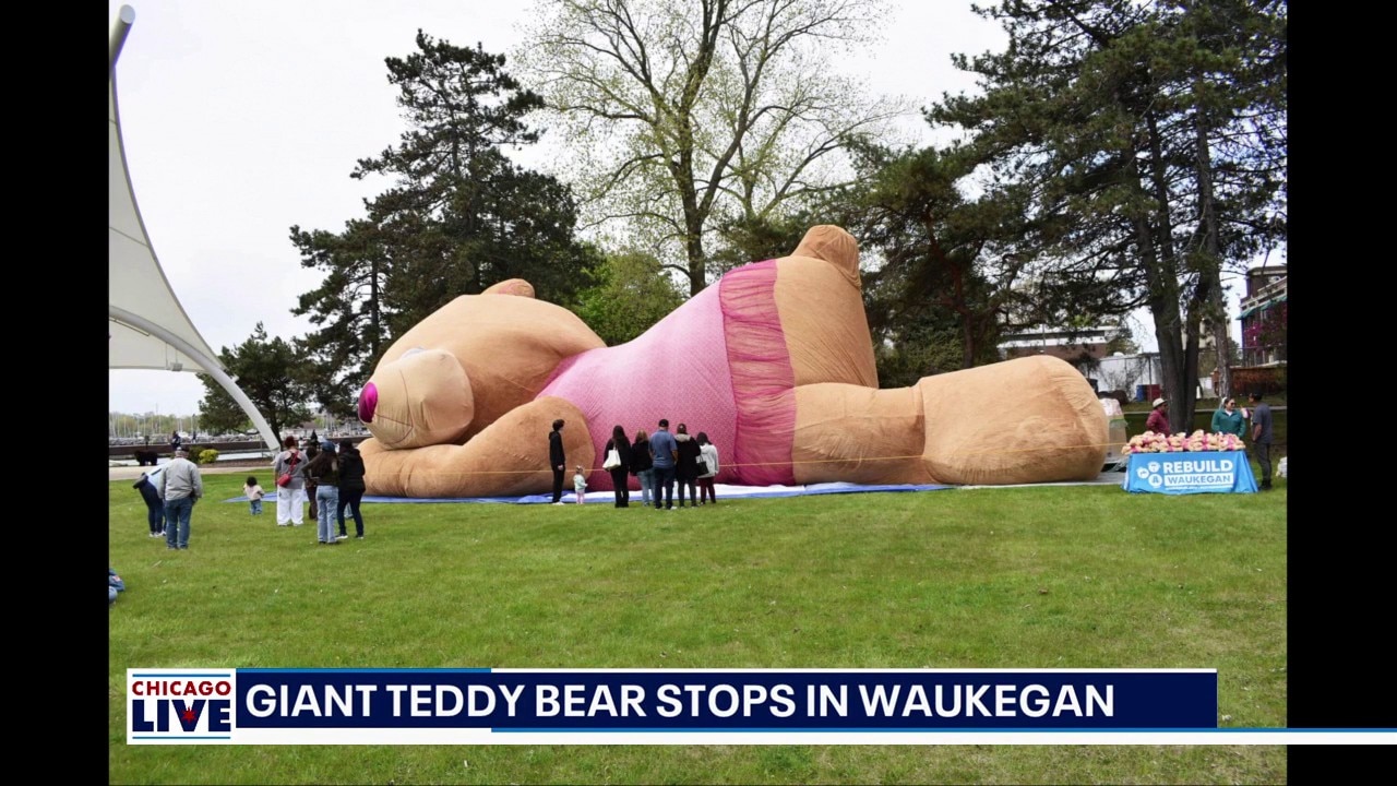 Thousands flock to see world’s largest teddy bear in Waukegan | ChicagoLIVE