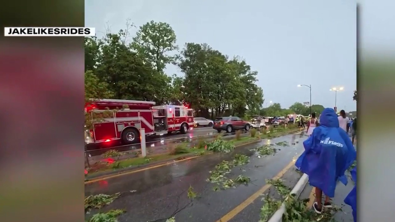 Witness recounts scary moment tree fell on Six Flags guests