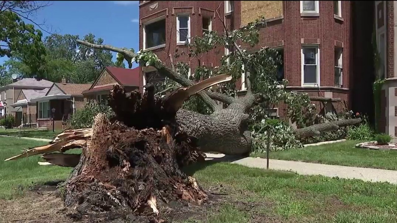 Cleanup continues around Chicago after night of powerful storms