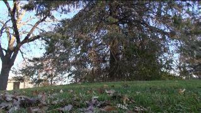 Racine cemetery land dispute settled