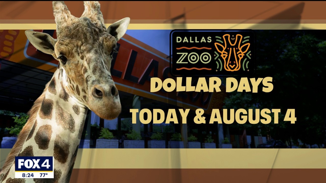 Crowds pack Dallas Zoo for Dollar Days