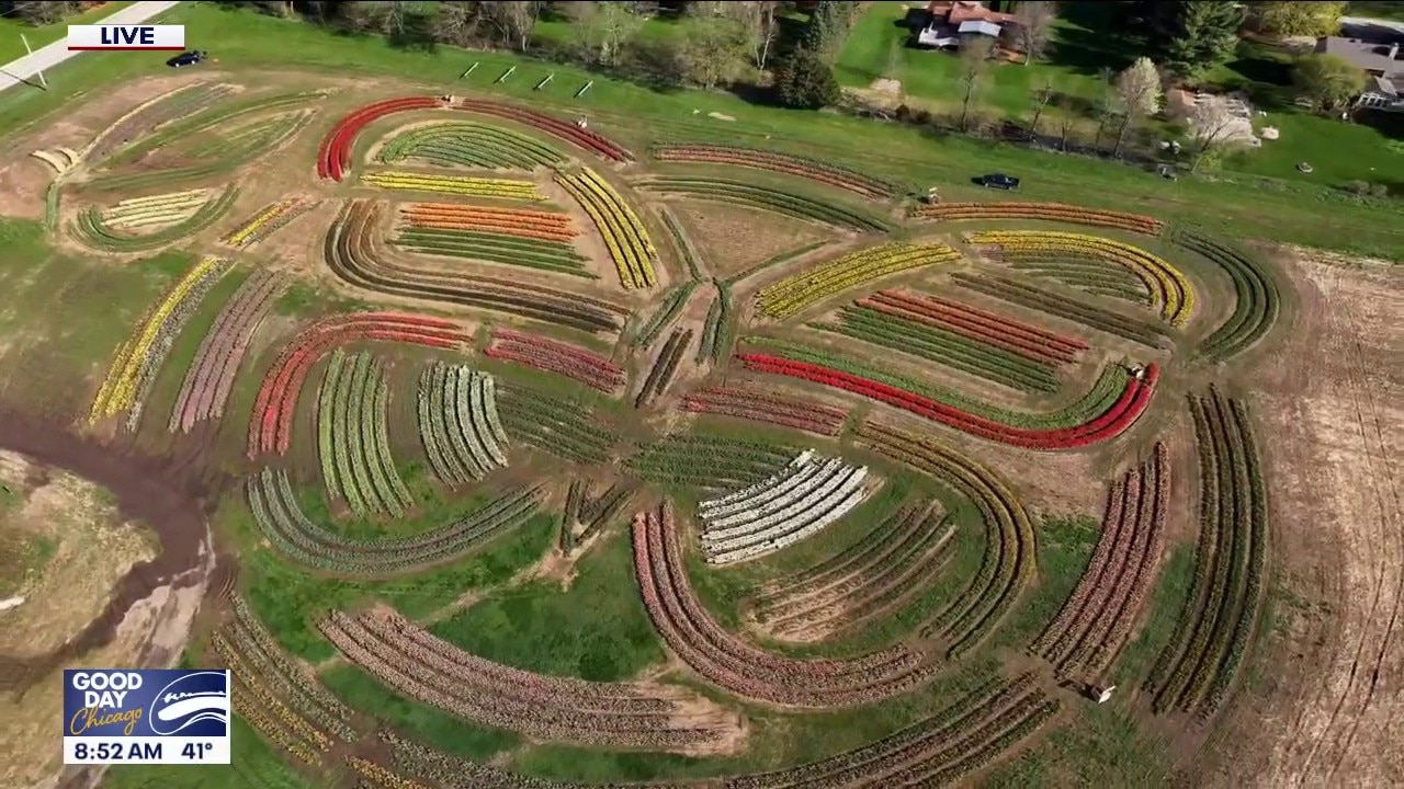 Spring blooms at Richardson Farm as Tulip Festival nears in Chicago suburb
