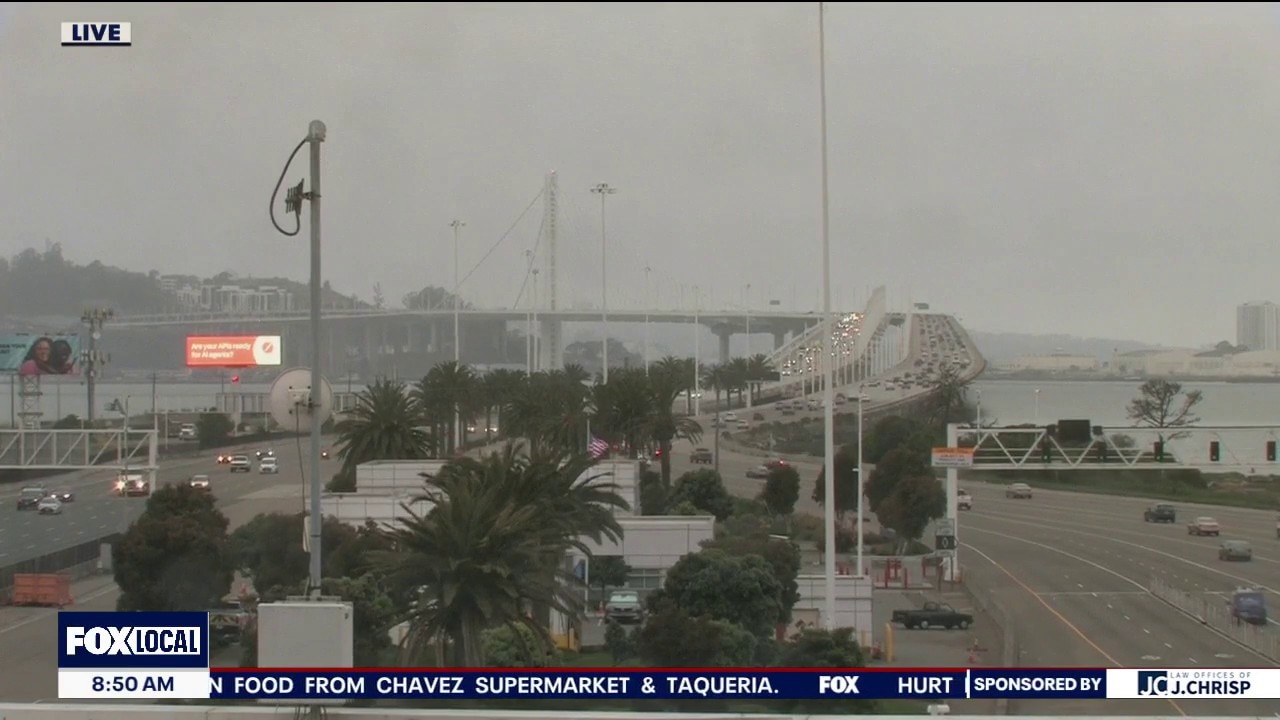 Mostly cloudy and a little damp today