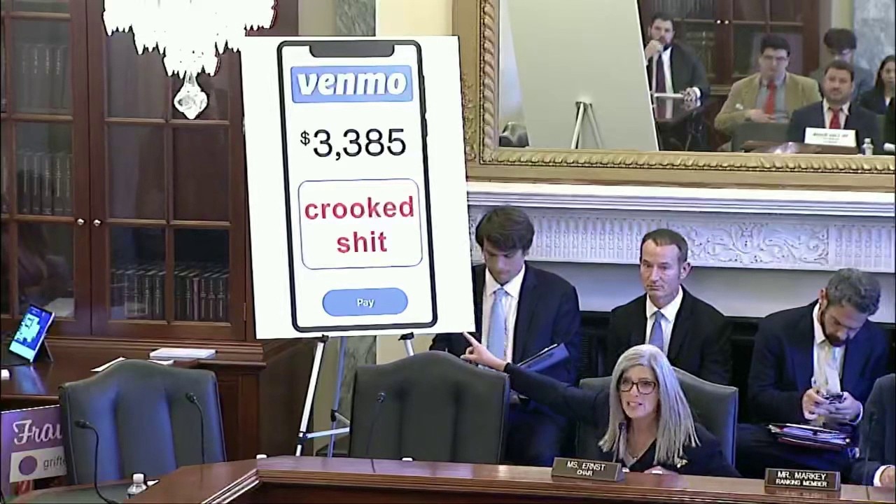 ‘Learing’ that fraud doesn’t pay: Senate hearing