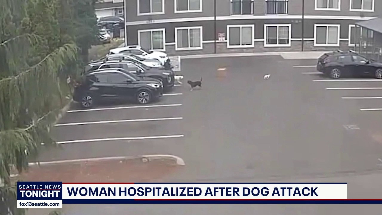 Mom recovers from dog attack that forced early birth