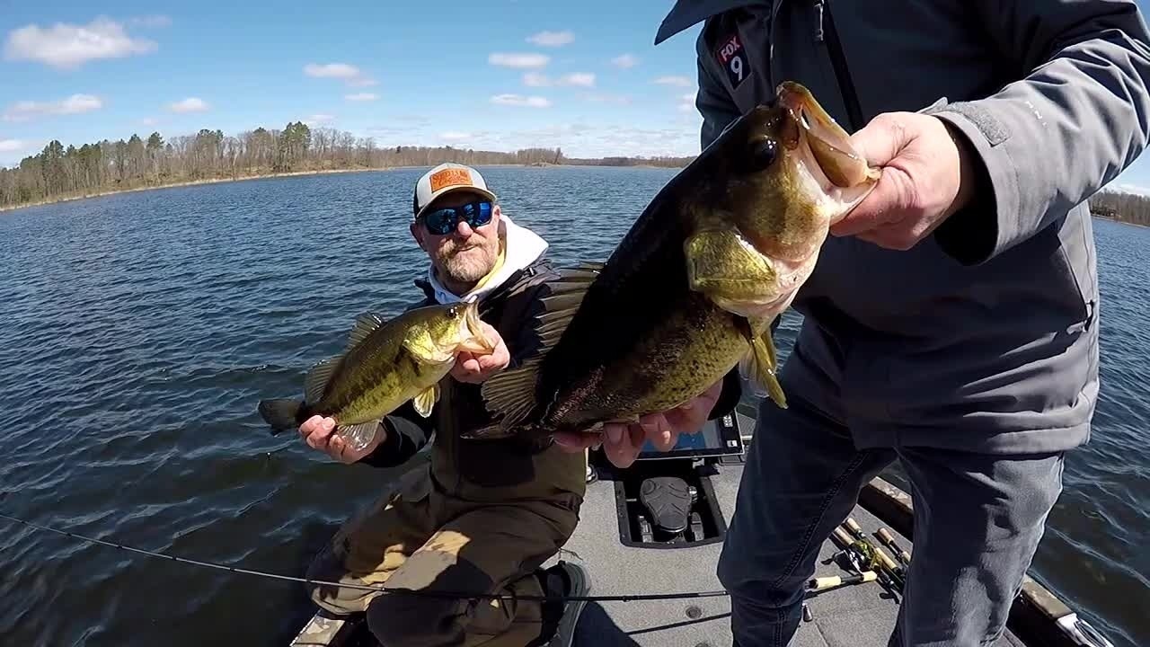 MN prespawn bass fishing: Catch-and-release season tips