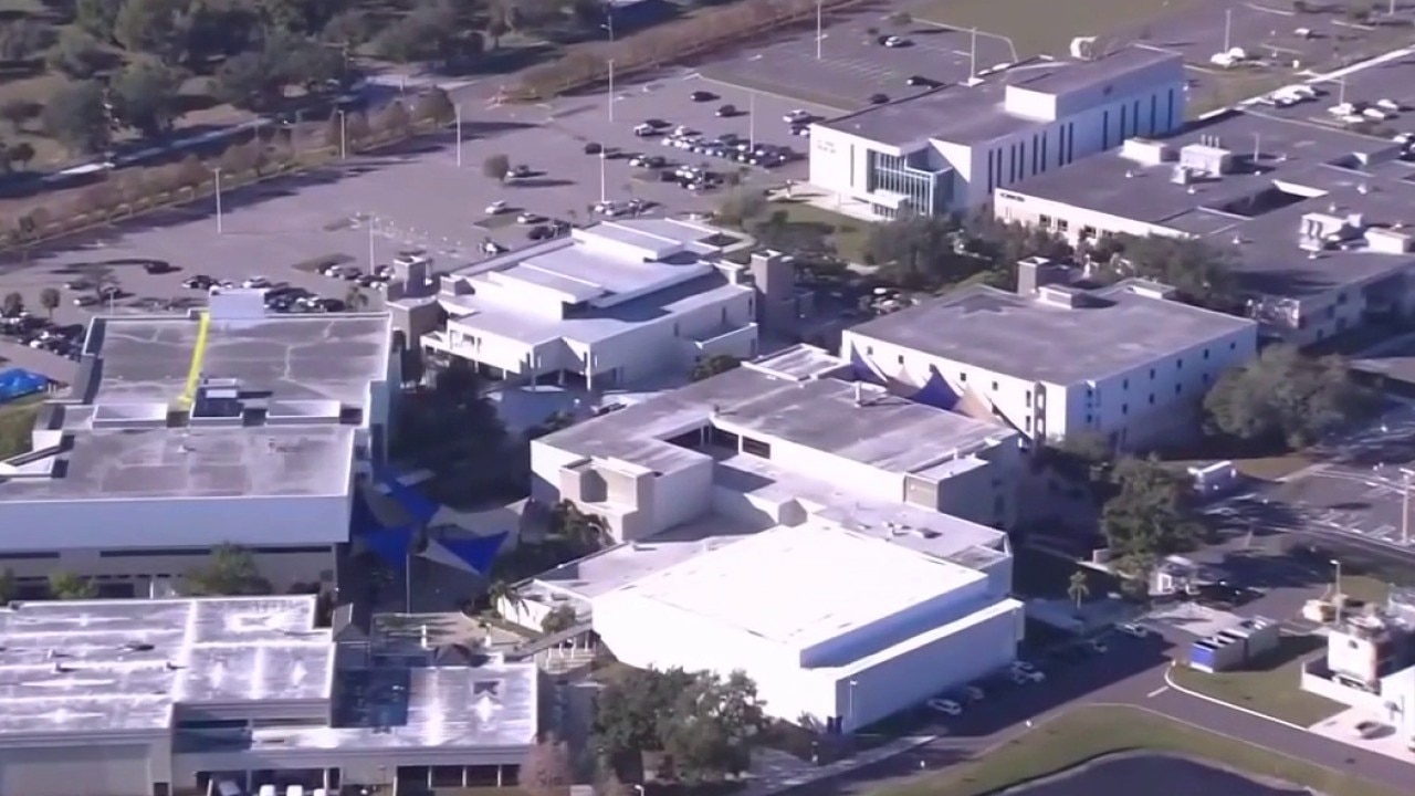 Tampa, Hillsborough County to vote on Rays stadium