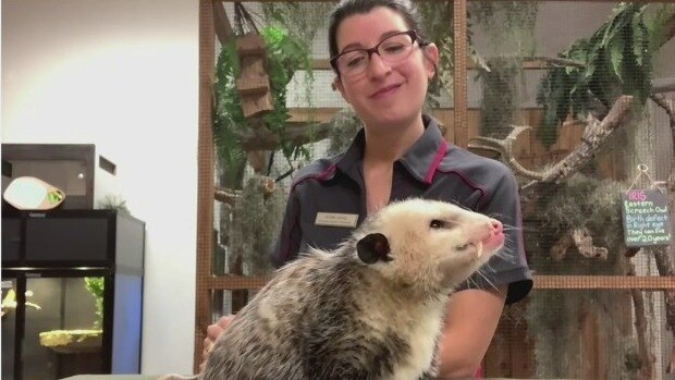 Donate spices to help rescued wildlife