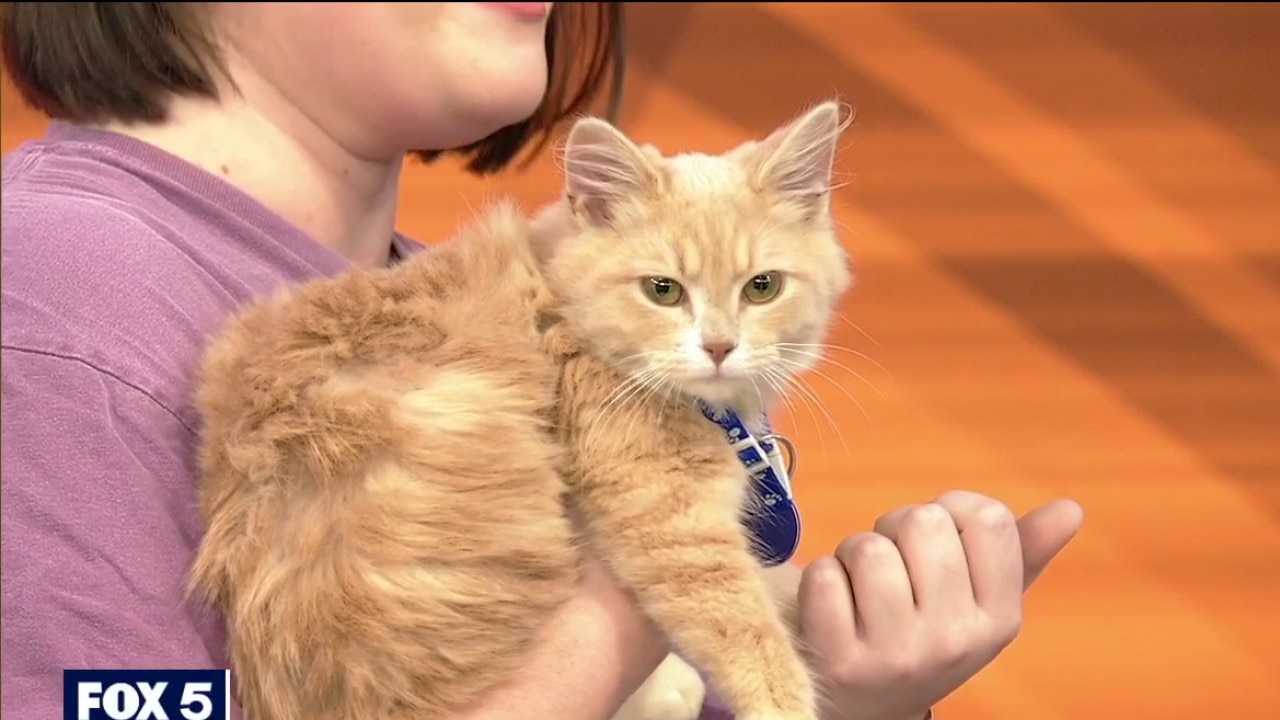 Pet of the day: Quill