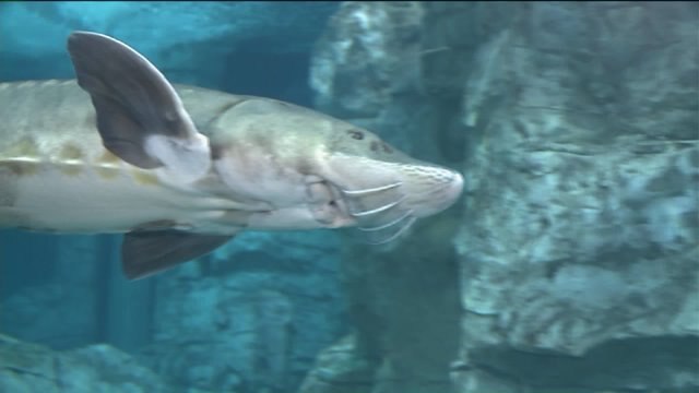 October "Gift to the Community:" Free admission weekend to Discovery World