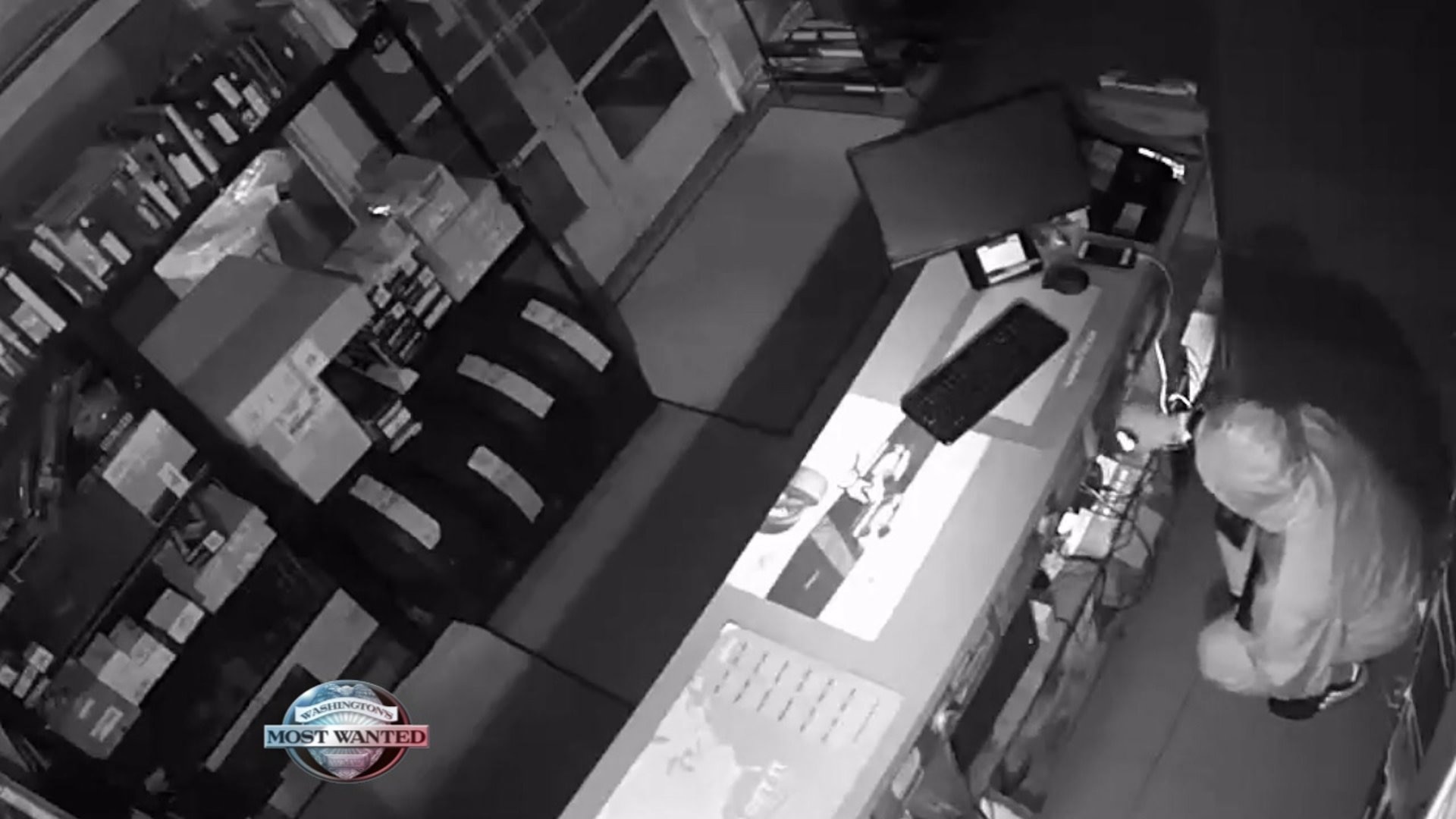 WANTED: Car mechanic system-stealing crooks