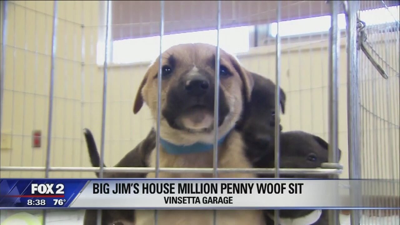 Big Jim's House collecting 1M pennies to help homeless pets
