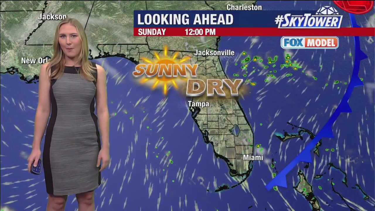 Friday afternoon forecast