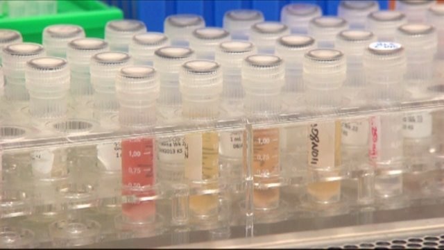 The argument over vaccinations goes on