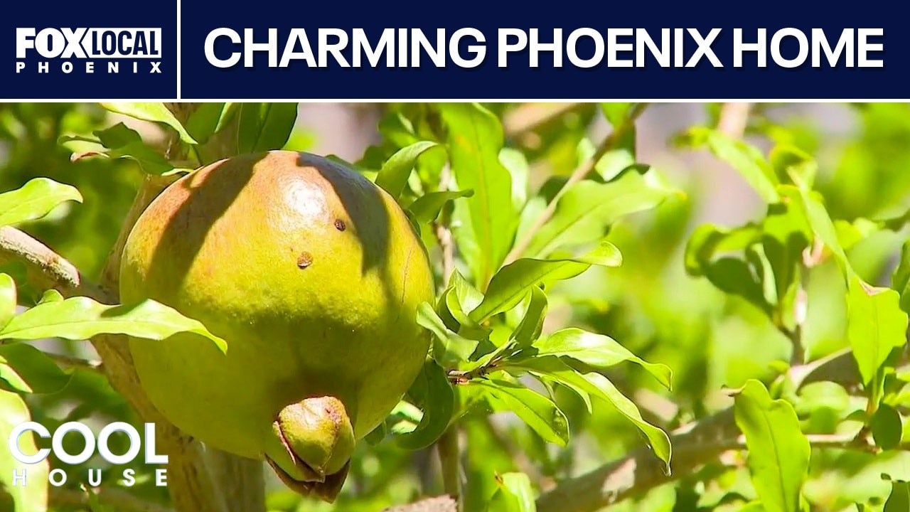 Central Phoenix home with an orchard l Cool House