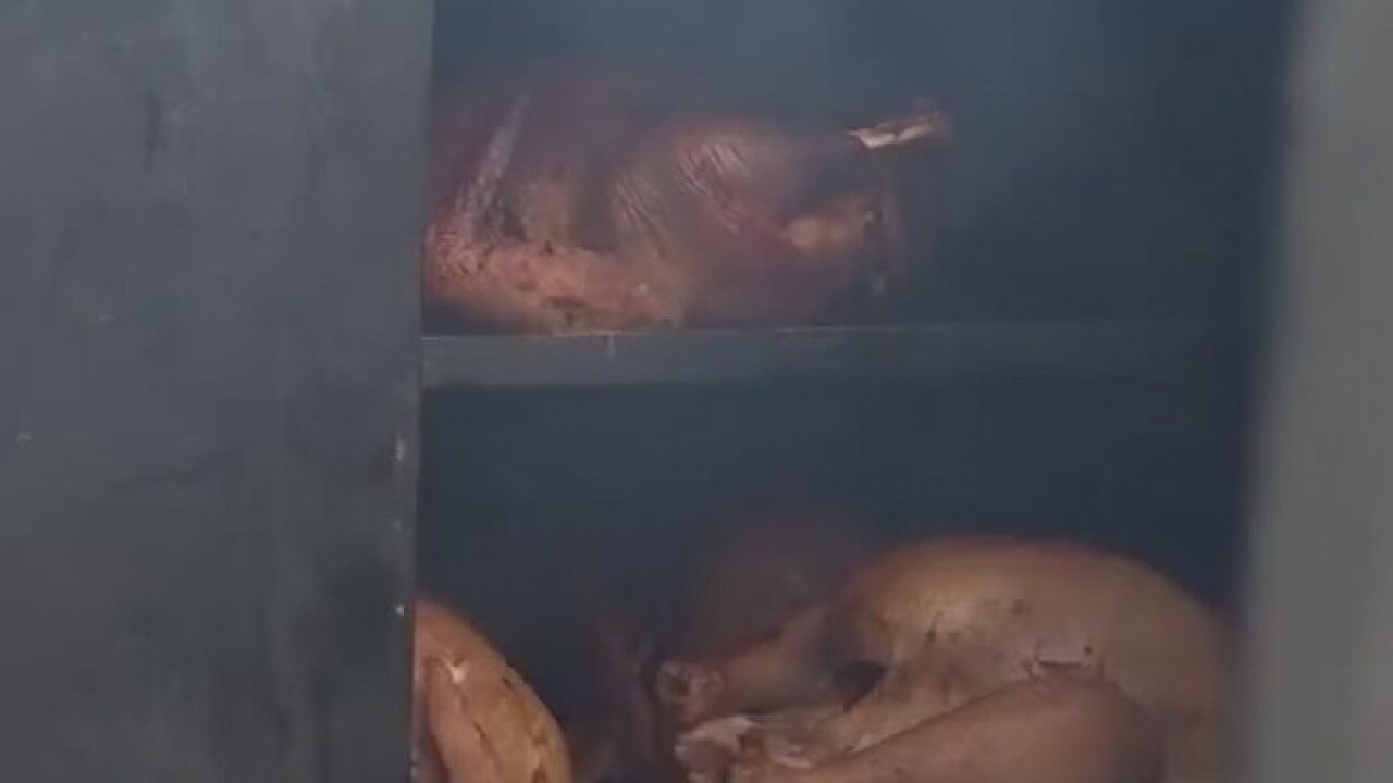 Operation Turkey helping feed those in need on Thanksgiving Day