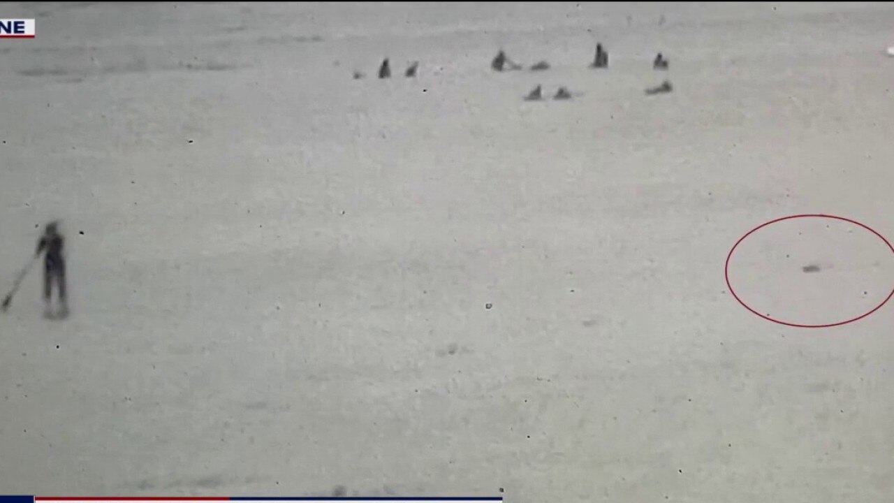 Woman attacked by seal lion in Capitola