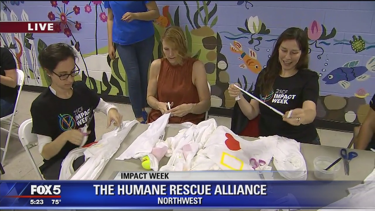 Impact Week: FOX 5 joins Human Rescue Alliance to help make toys