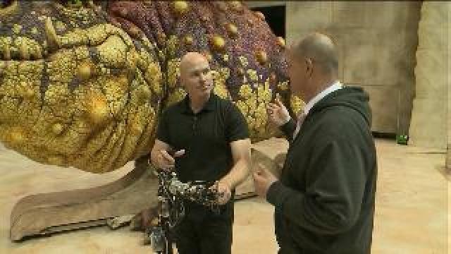 See how the dragons work