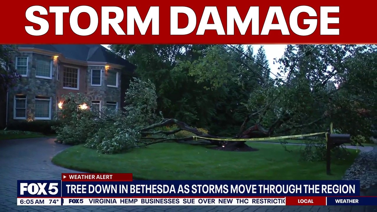 Tree down in Bethesda as storms move through the region | FOX 5 AT 6AM