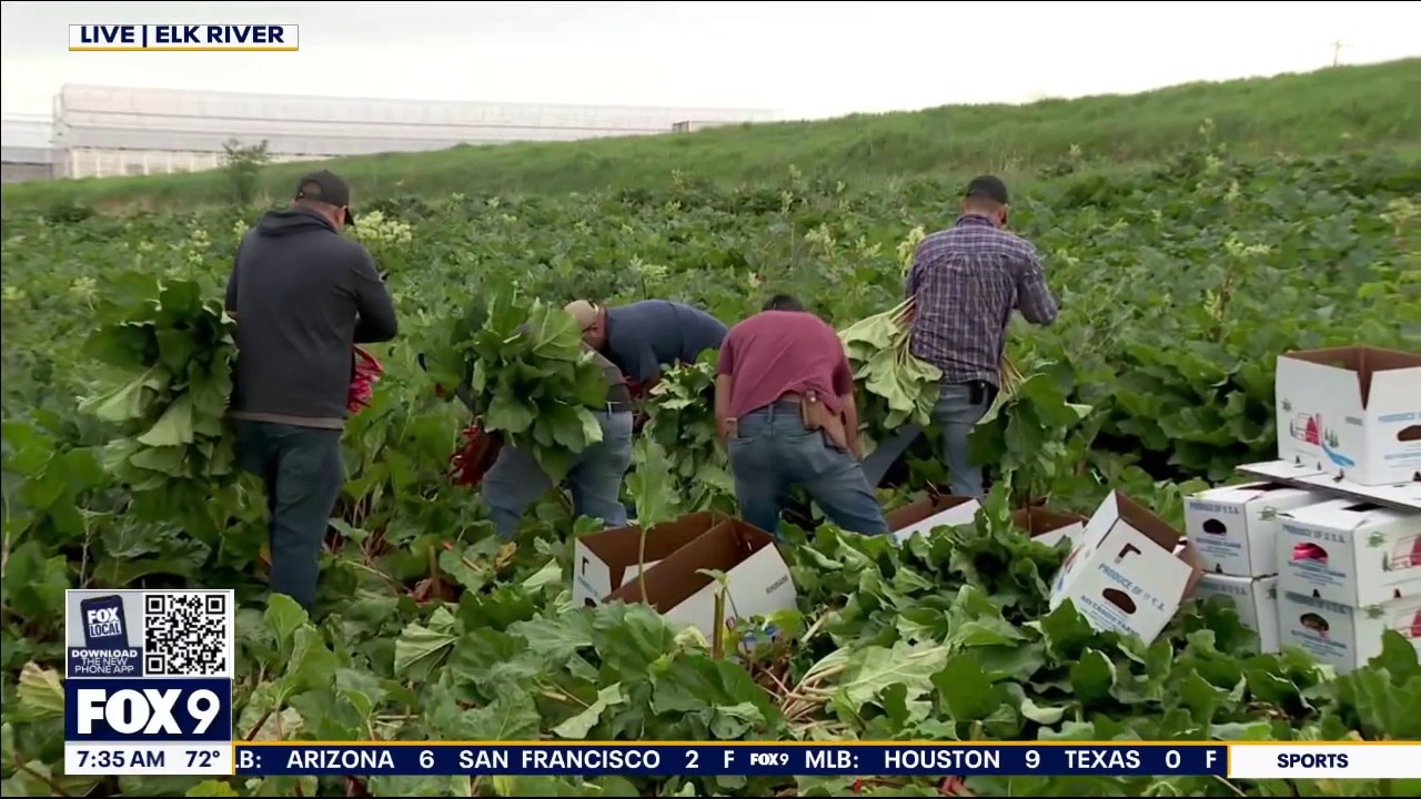 Farmers market spotlight: Riverside Farms