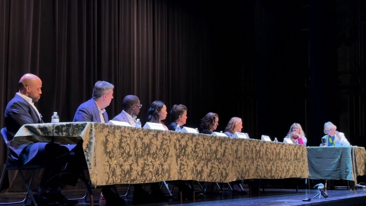 Wisconsin Democrats host governor candidate forum