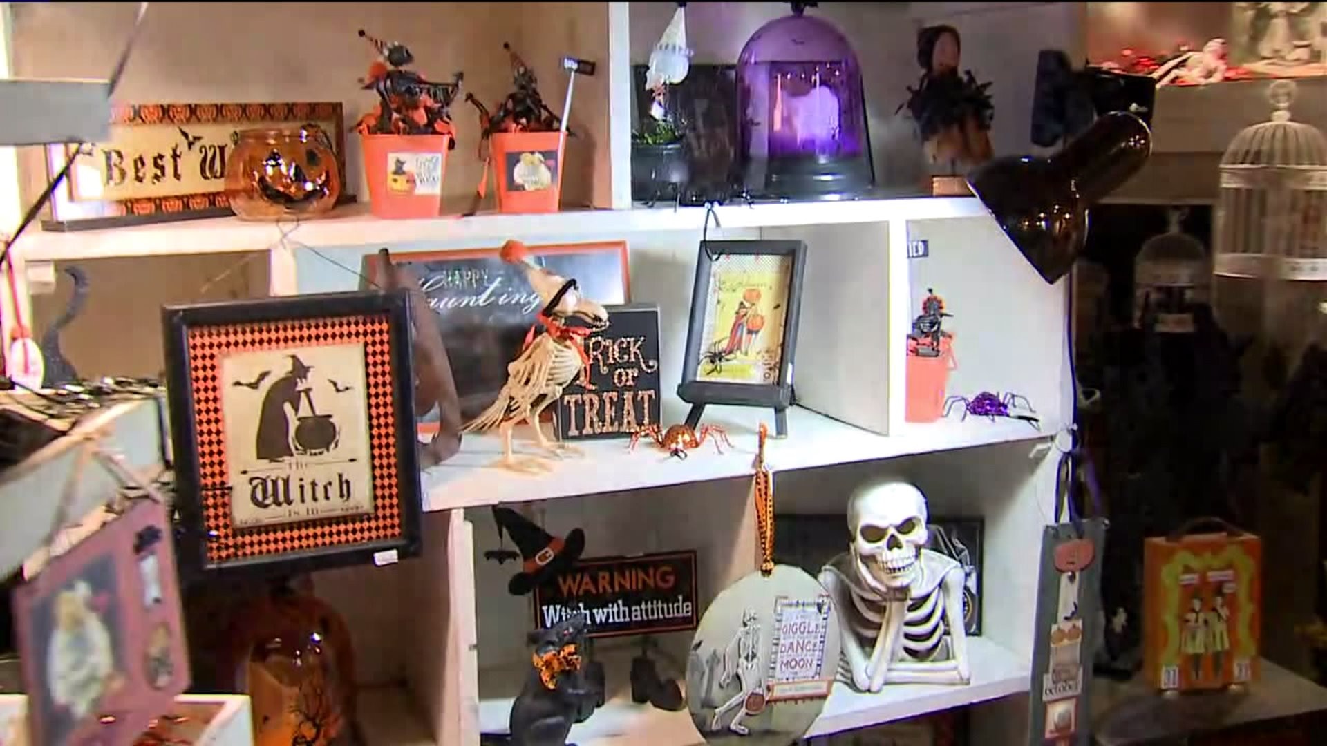 Halloween and Harvest Market