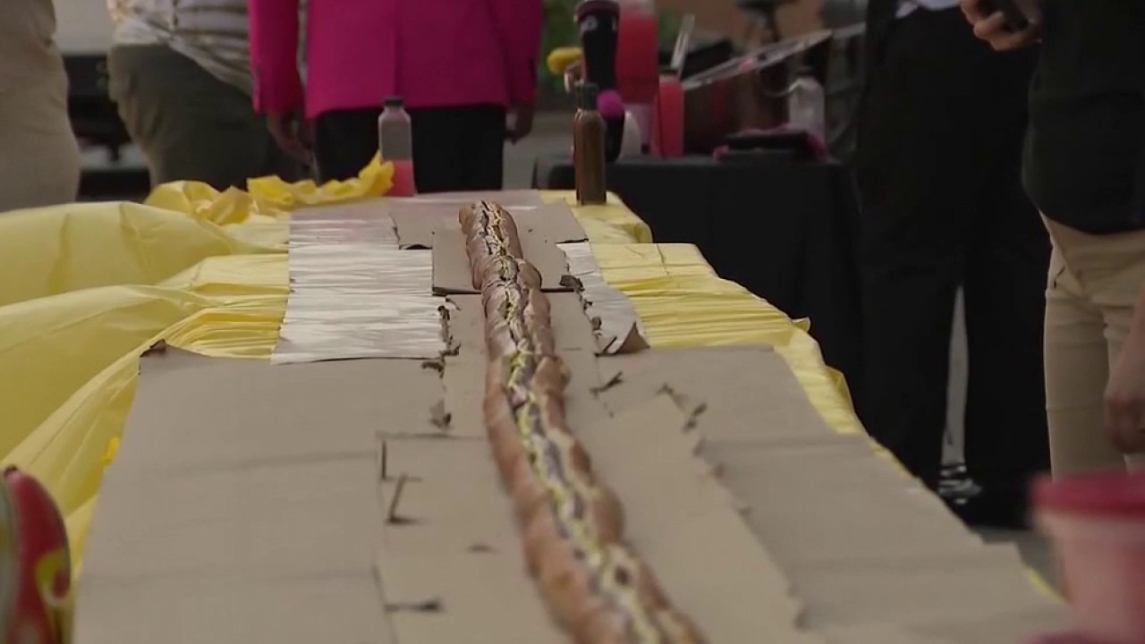 Chicago's biggest hot dog makes its debut on National Hot Dog Day