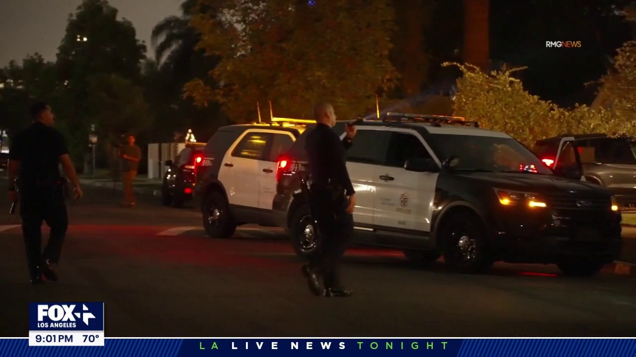 Multiple LA homes targeted by burglars