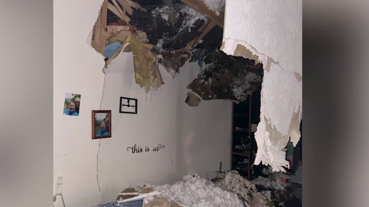 Georgia family displaced after massive tree hits home