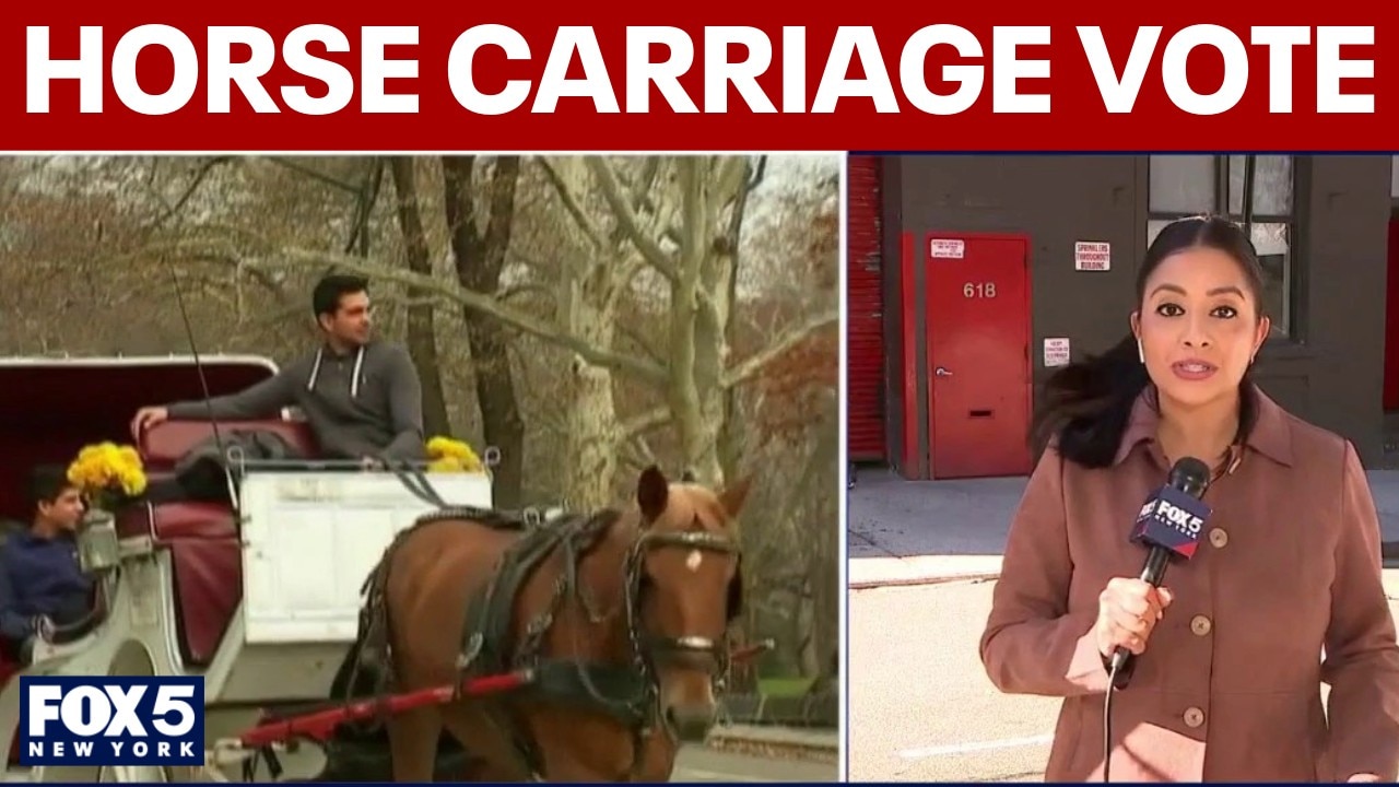 Historic vote on whether to keep the horse carriage industry in NYC