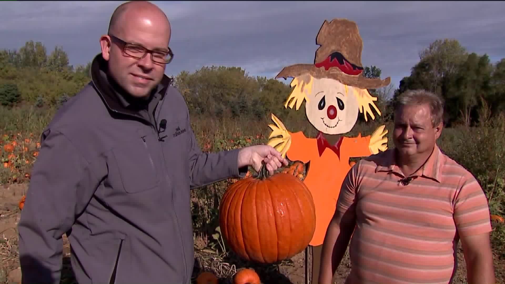 Meadowbrook Pumpkin Farm