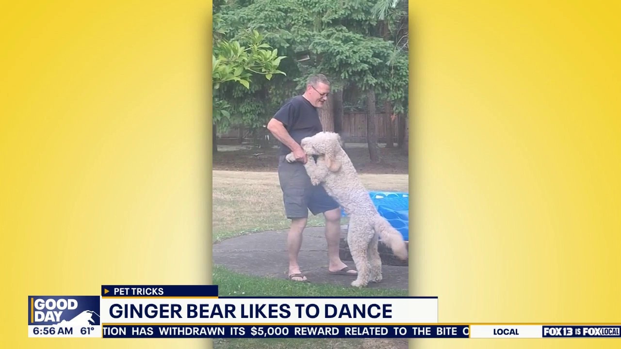 Pet Tricks for Tuesday, July 28