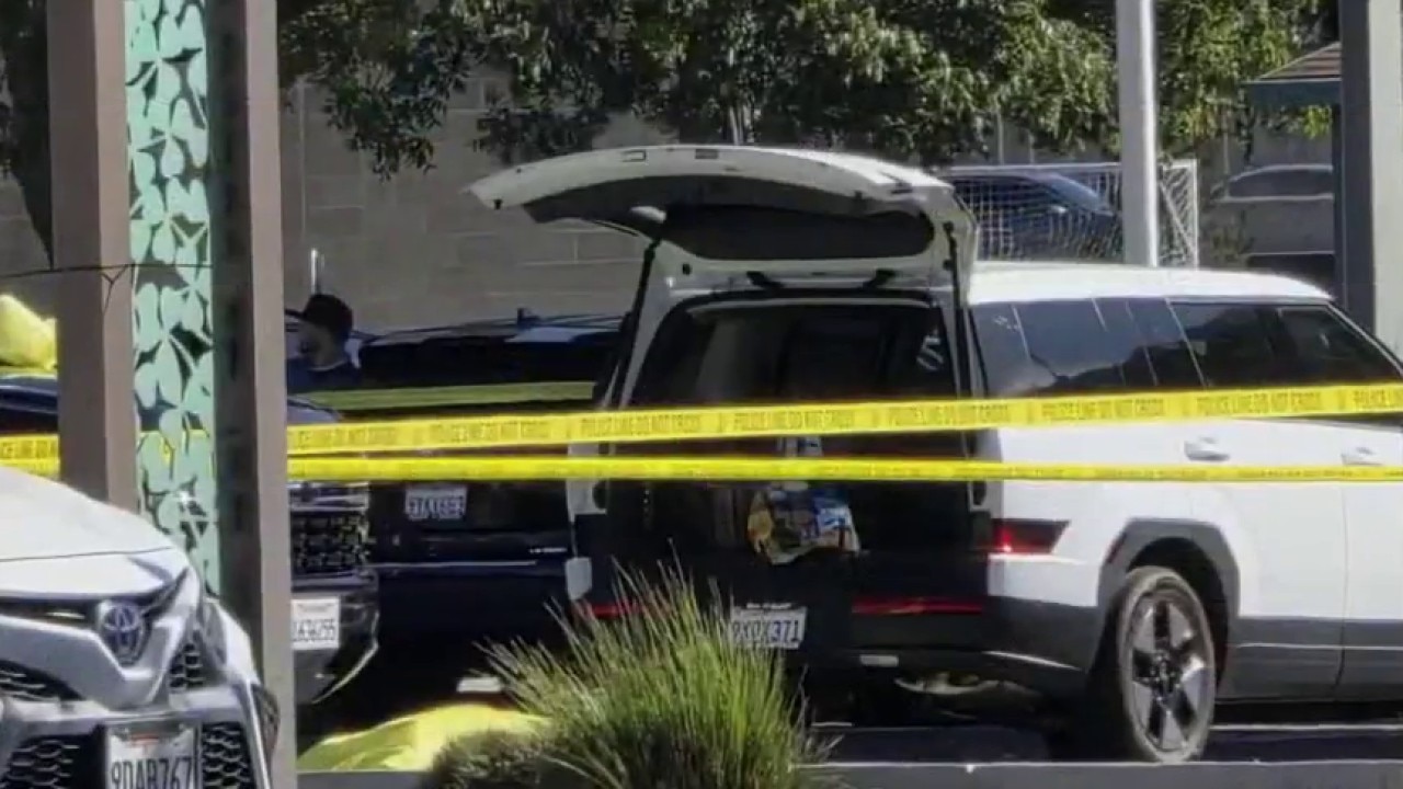 Dublin police arrest married couple for allegedly shooting, killing son-in-law