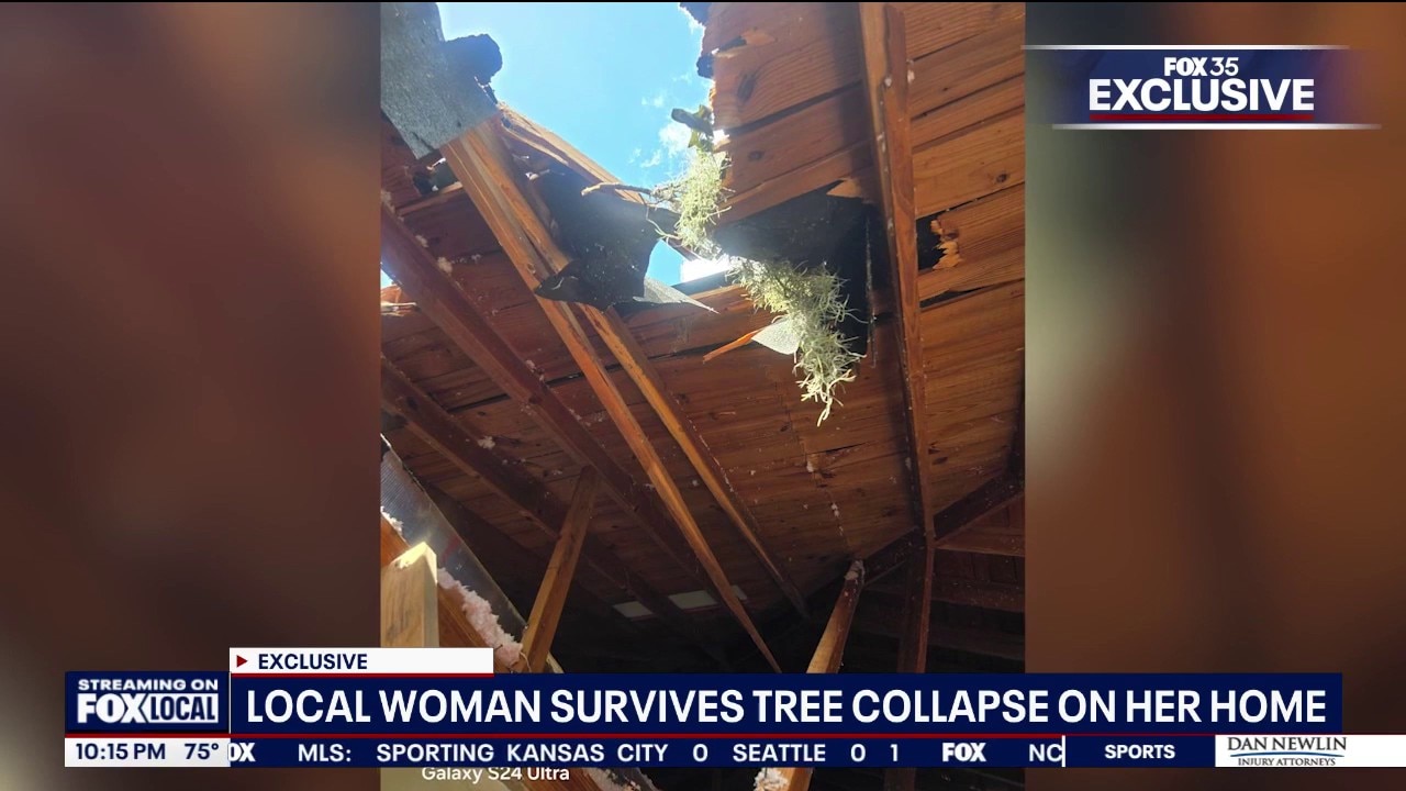 DeLand woman recounts surviving tree that crushed her home