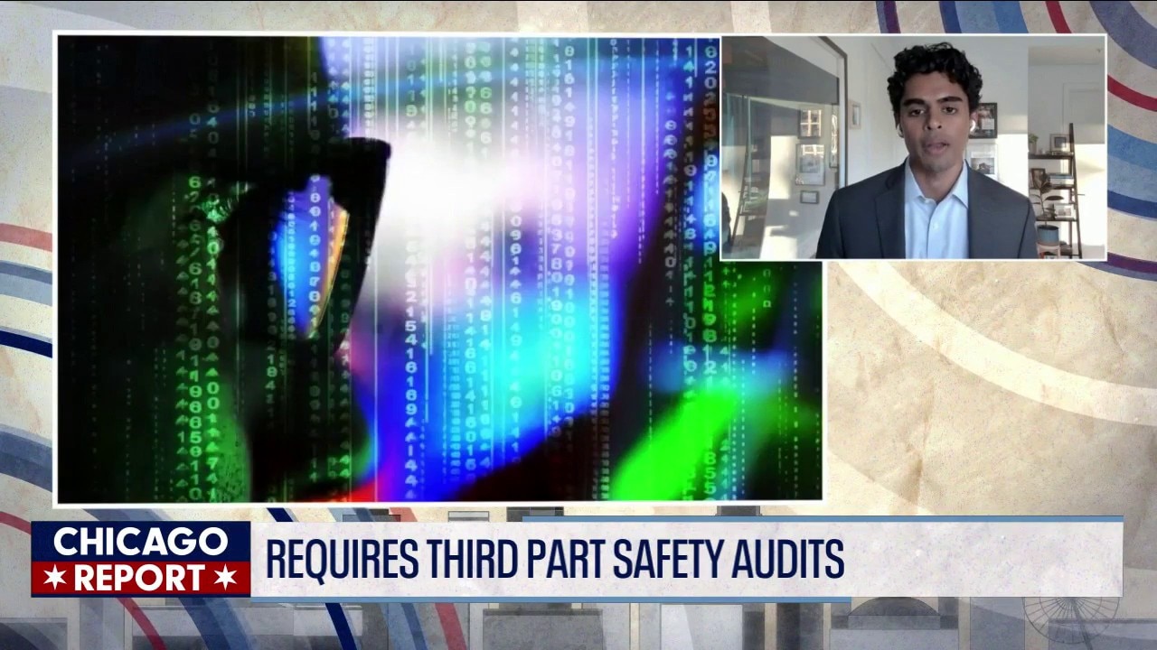 Expert says AI requires safety audits | The Chicago Report