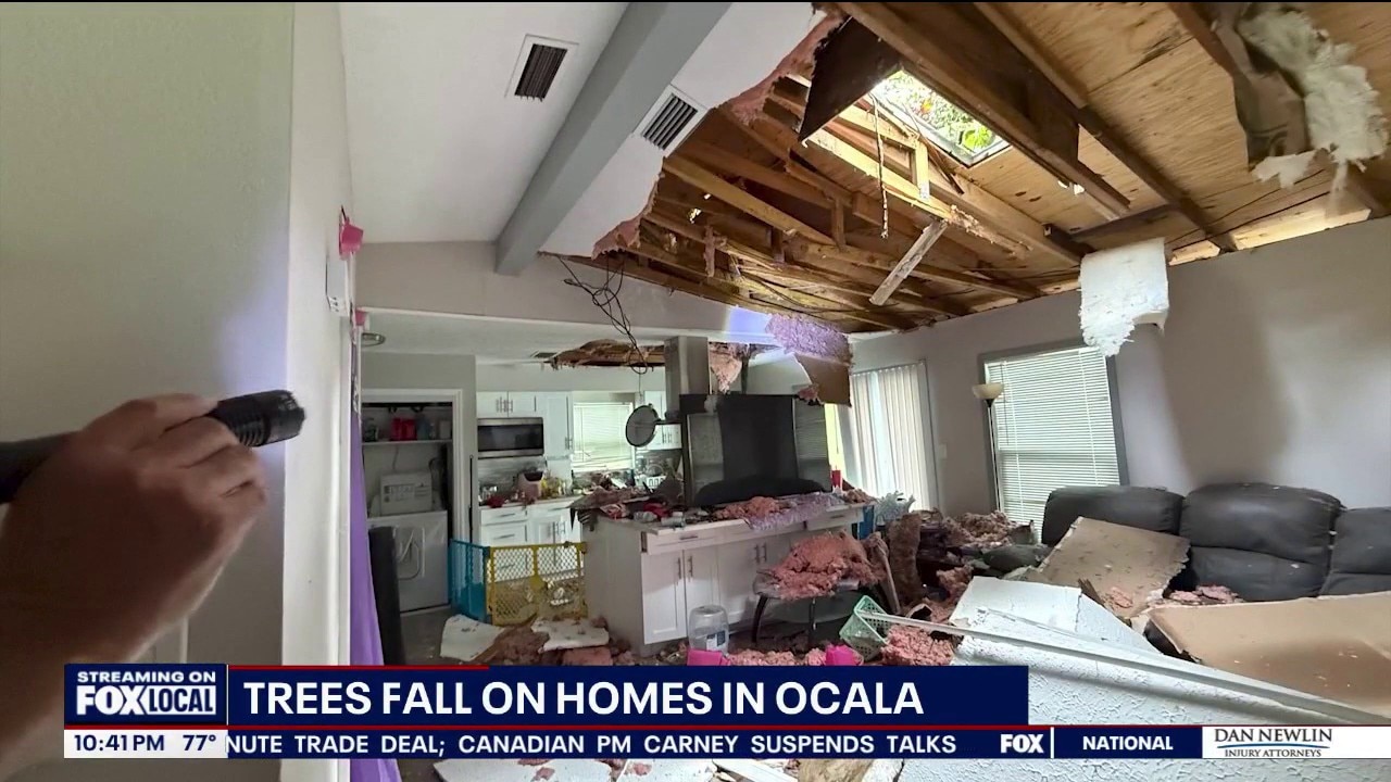 Tree crashes into Ocala home roof after strong storm