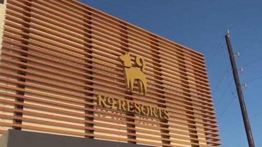 A sneak peek into Katy's premier doggie oasis