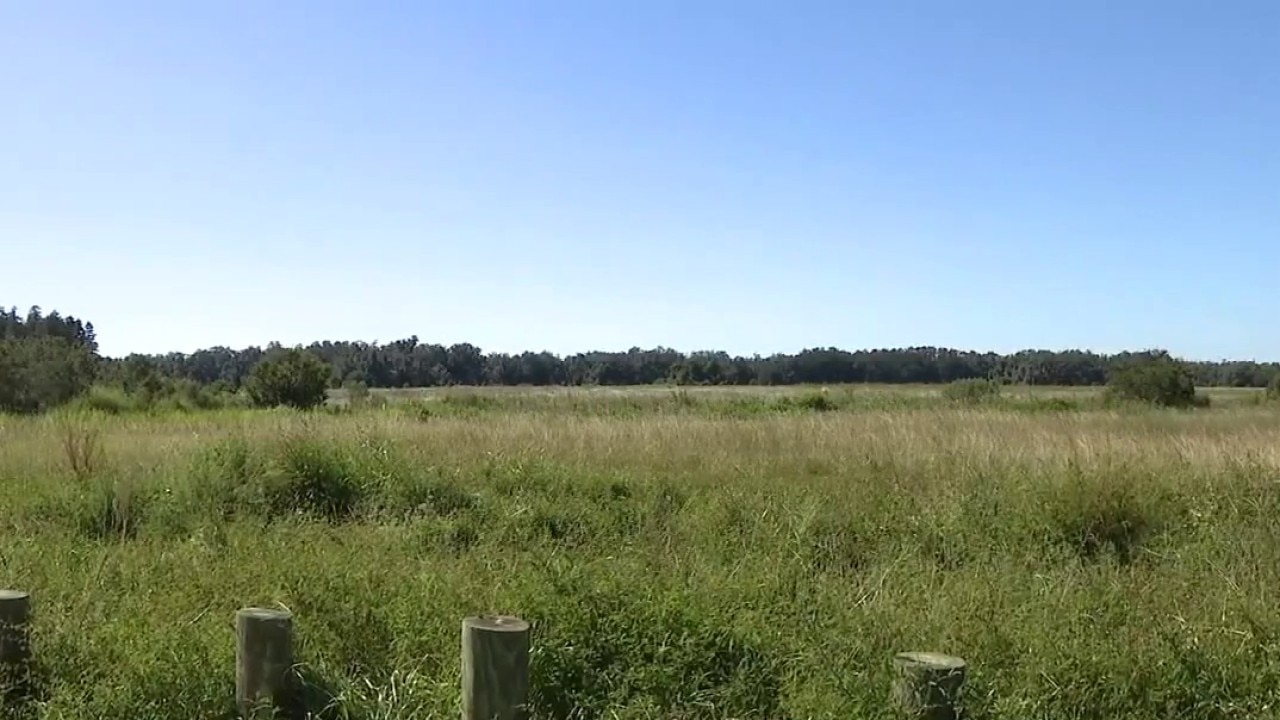 New Tampa park project moves forward 