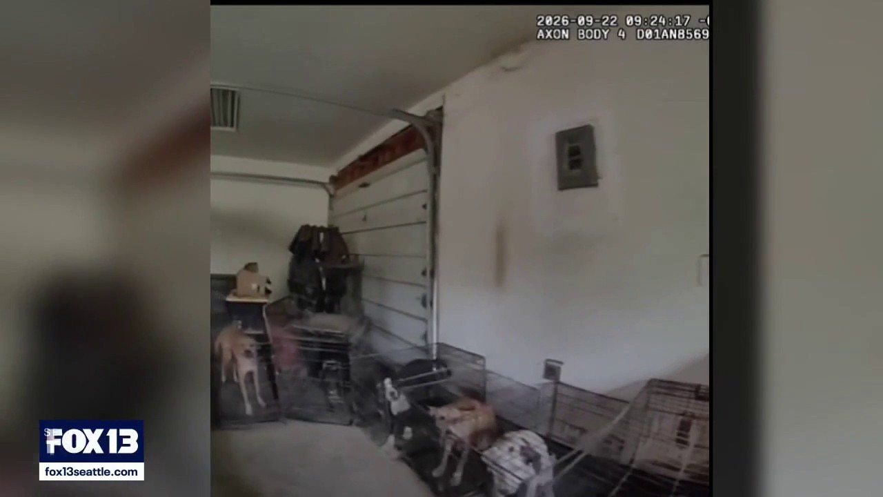 17 animals seized in Pierce County animal cruelty case