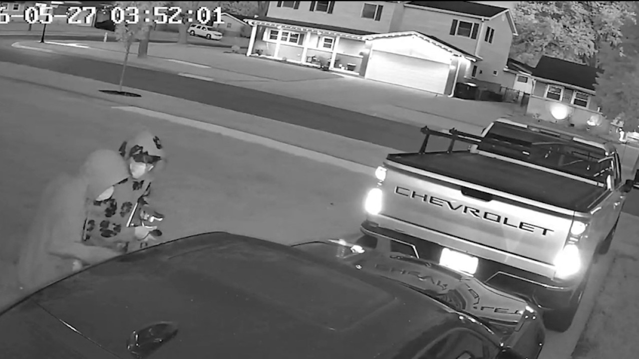 Elk Grove Village homeowner scares off carjackers