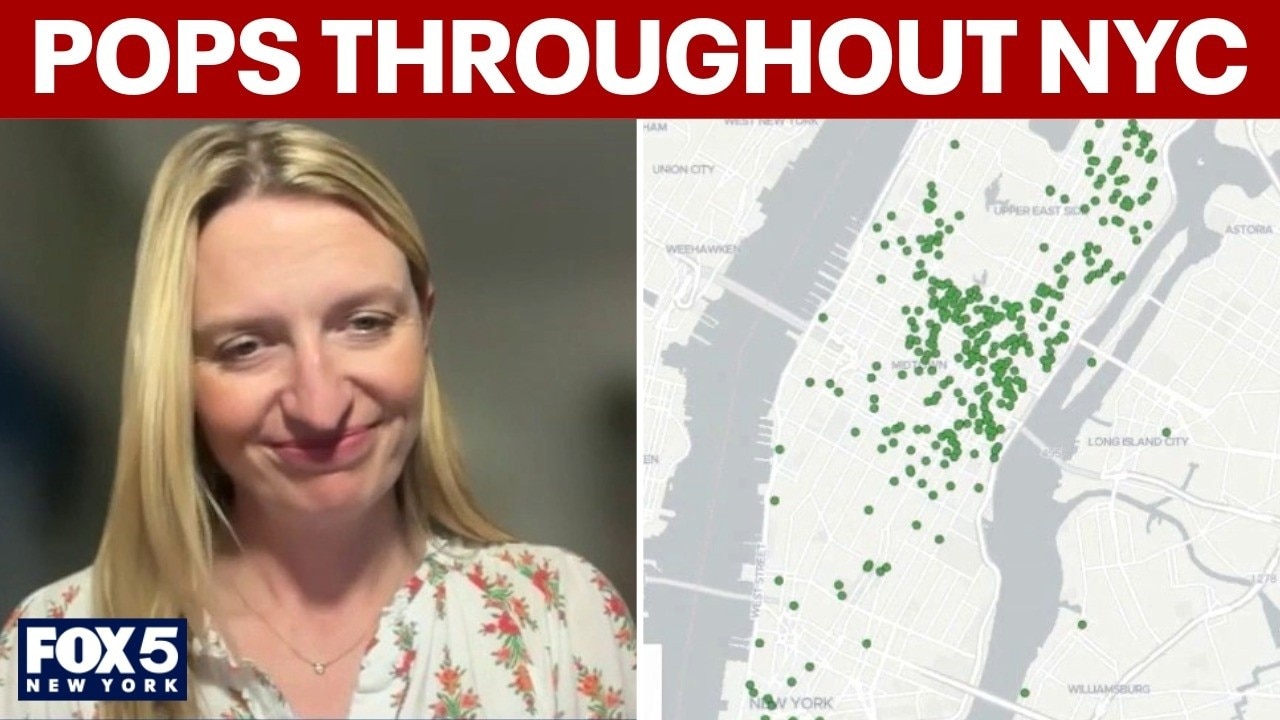 NYC council member on the importance of public spaces