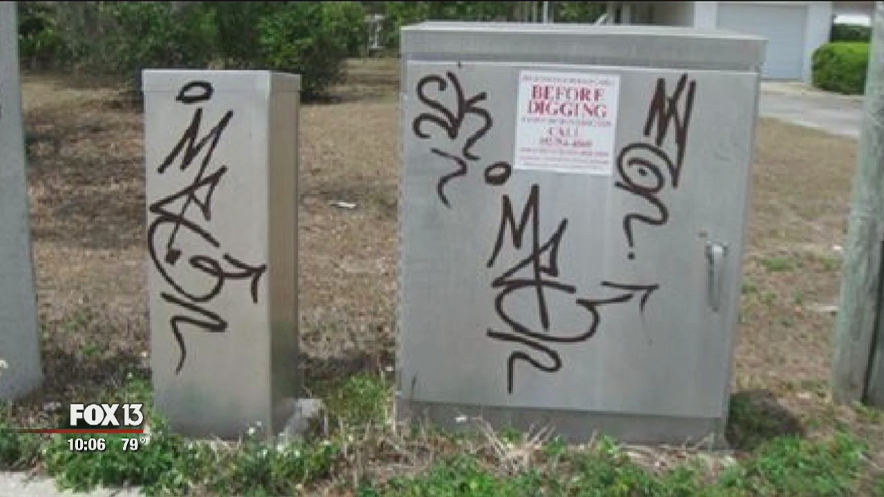 Suspected serial graffitti vandal arrested