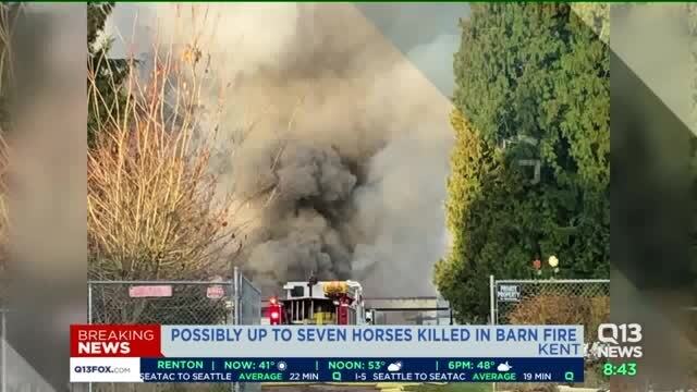 As many as 7 horses killed in Kent barn fire